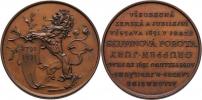 Braun - bronzová medaile pro skupinovou porotu 1891 -