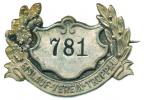 Opava - Členský odznak "Eislauf-verein-Troppau" (bruslařský klub)