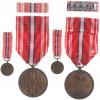 Pamětní odznak pro československé dobrovolníky z let 1918 - 1919