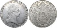 Tolar 1824 C - dlouhé vlasy_zc. nep. rys.