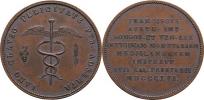 AE medaile na návštěvu císaře v milán. mincovně 1816