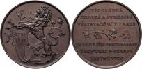 Braun - bronzová medaile pro vystavovatele - český