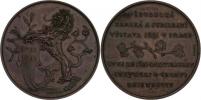 Braun - bronzová medaile pro vystavovatele
