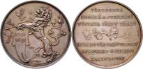 Braun - stříbrná medaile pro vystavovatele - český