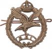 AAC - čepicový plukovní odznak