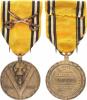 Paměrní medaile "DE LA GUERRE 1940-1945" - pro vojáky (na stuze m