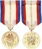 Medaile "Za upevňování přátelství ve zbrani" I. třída - zlatá VM IV/55-I; Nov. 166