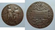 Dubois - záslužná medaile min. zemědělství (cca 1900)