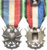 Vyznamenání pro válečné veterány 1870-1871 "OUBLIER JAMIS"