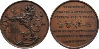 Braun - bronzová medaile pro vystavovatele 1891