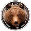 Kanada, 1 unce 2019, Ag 999,9 medvěd Grizzly, 500 kusů