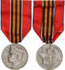 "Zborovská pamětní medaile" VM III/23; Nov. 37