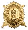 Karel IV. - zl.odznak za budování brannosti