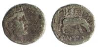 Makedonie,Pella 158-149 AE19 L:Athéna R:býk ,Sear 1443