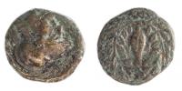 Aeolis,Elaia 4-3st.př.n.l. AE11 L:Athena R:zrno ve věnci