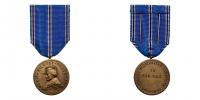 12.stř.pluk M.R.Štefanika - pamětní medaile