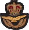 RAF - dracounová nášivka na slavnostní uniformu