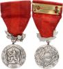 Medaile "Za zásluhy o obranu vlasti" II. vydání Ag punc v plo še VM IV/43-II; Nov. 144