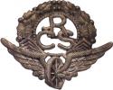 ČSD - čepicový odznak s monogramem RČS (cca 1918 -