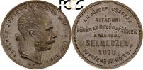 Banskoštiavnický zlatník 1878 (Zkušební ražba)